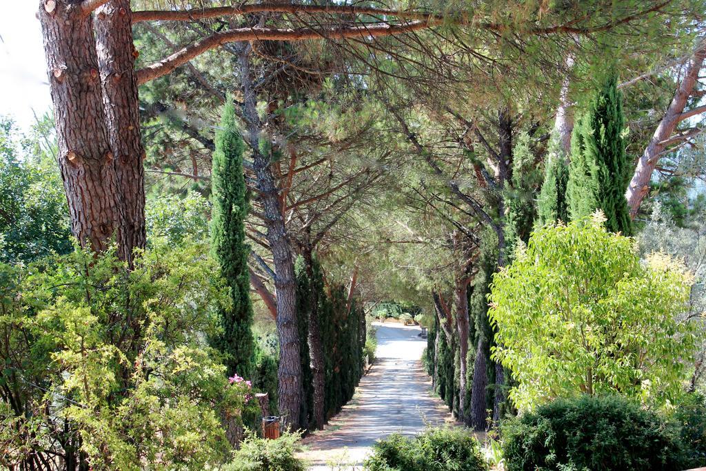 Agriturismo Antico Borgo Poggitazzi Лоро-Чьюффенна Екстер'єр фото
